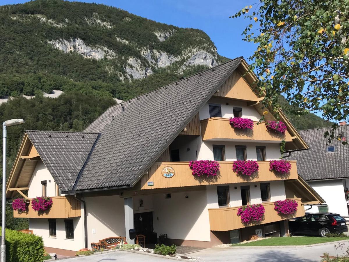 Apartments Maja By The River Bohinj Luaran gambar