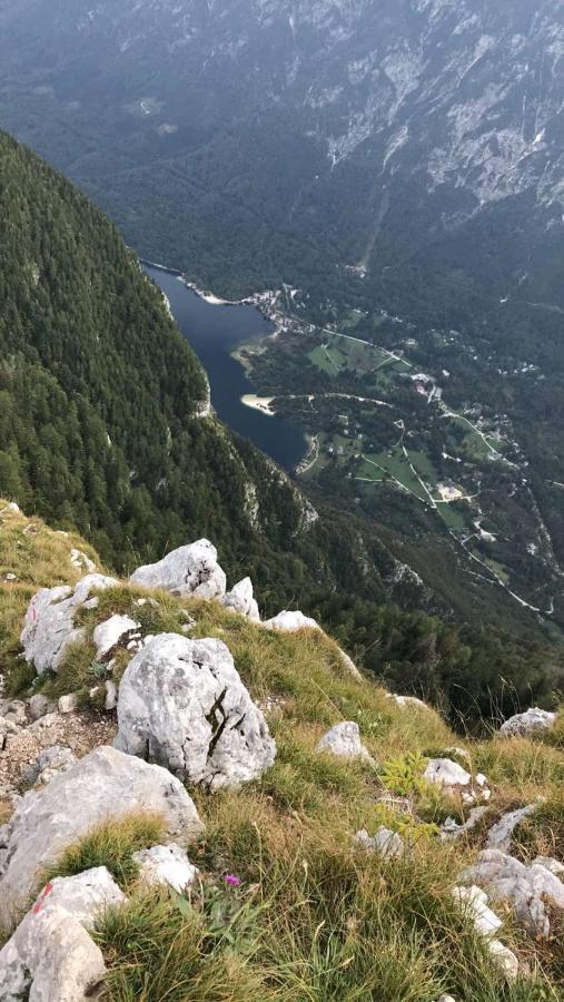 Apartments Maja By The River Bohinj Luaran gambar