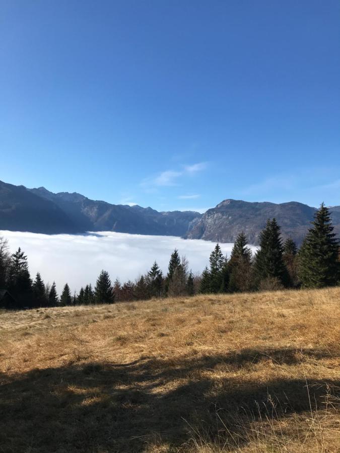 Apartments Maja By The River Bohinj Luaran gambar